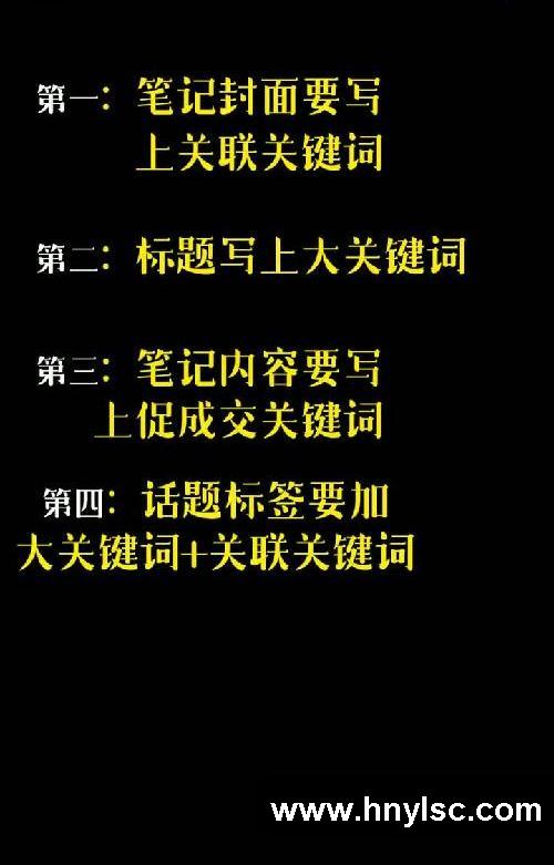 利用SEO玩法直接弯道超车｜快速粗暴高效