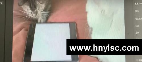 挑战6条视频教会你做小红书｜账号启动！