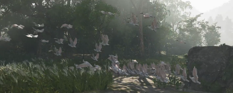 《刺客信条：影》朱脸鹮鹭墨绘位置介绍