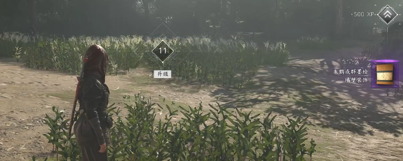 《刺客信条：影》全宠物墨绘获得方法介绍