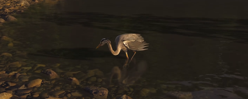 《刺客信条：影》鹭影渔歌墨绘位置介绍